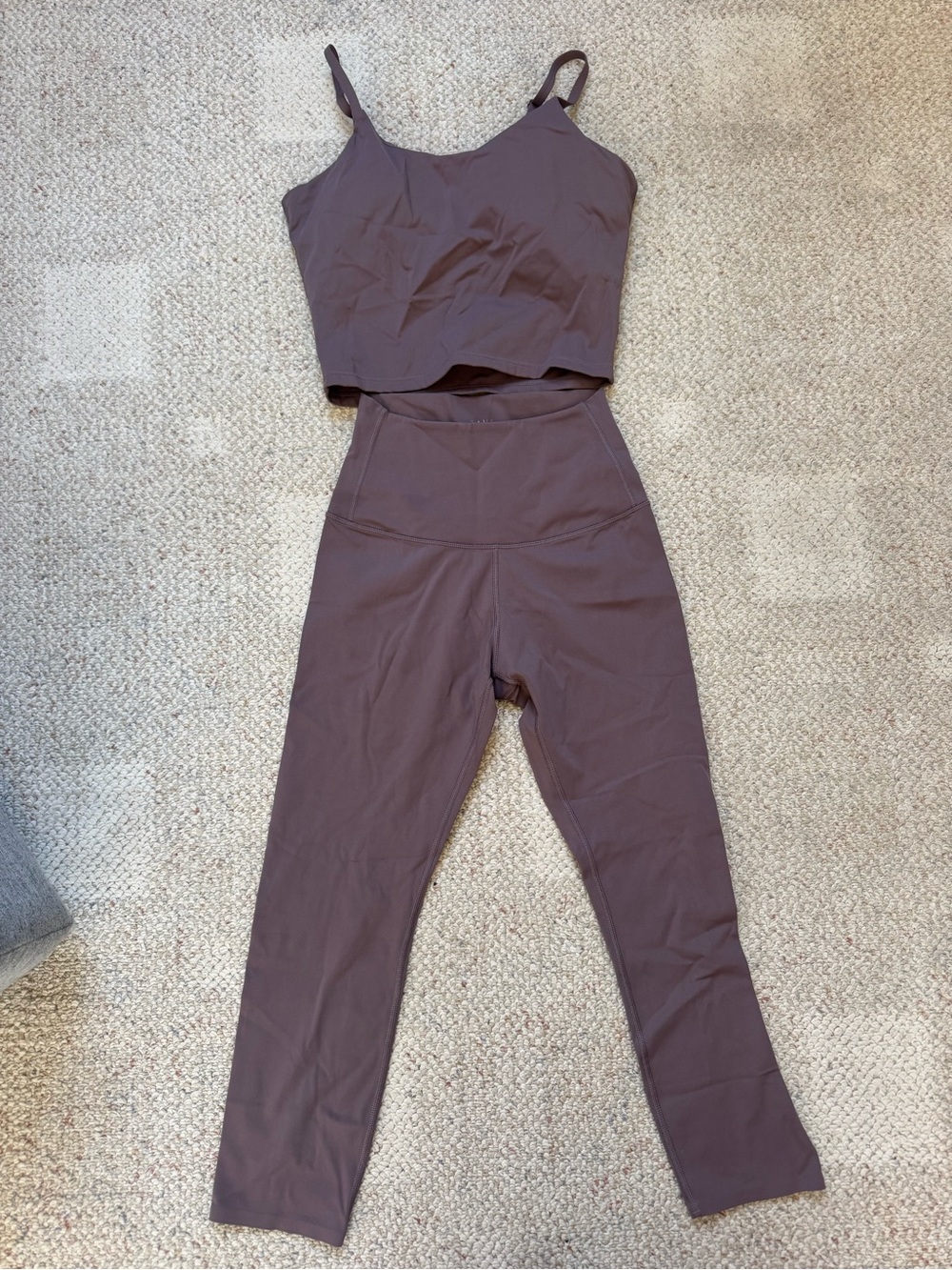 Tavi Seamless High-Waist Leggings and Crop Tank Set - Mauve